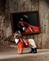 Dapper Dogs Border Terrier in Hunting Dress Figurine Gift