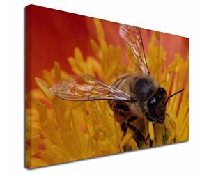 Click image to see all products with this Honey bee.