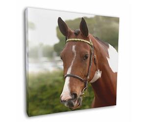 Click to see all products with this Chestnut and White Horse.