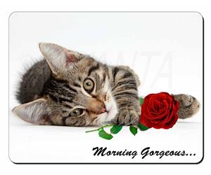 Kitten with Rose 