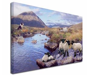Click to see all products with these Sheep and Border Collie.