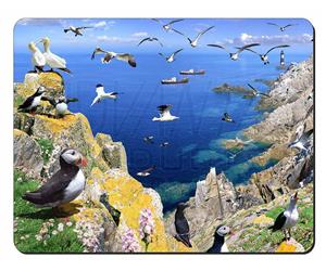 Click Image to See All Products with these Puffins