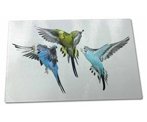 Click image to see all products with these Budgies.