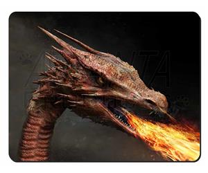 Fierce Fire Flame Mouth Dragon