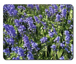 Bluebells in the Wood