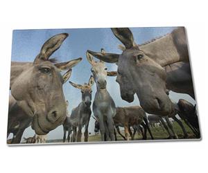 Click Image to See All 38 Different Herd of Donkeys Printed Products