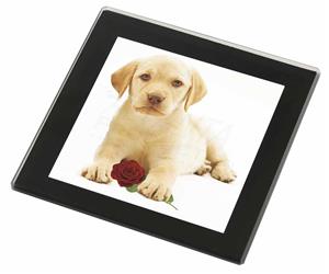 Yellow Labrador Puppy with Rose