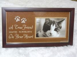 Pet Memorial Cat Shadow Box Keepsake Memory Photo Frame