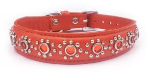 Small Orange Leather Puppy/ Dog/Cat Collar+Jewels Fits Neck 7"-8.5"