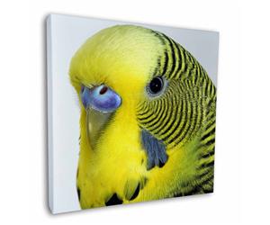 Click image to see all products with this Yellow Budgerigar.