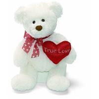 Gund "True Love" Teddy Bear+Red Heart Valentines Day Gift