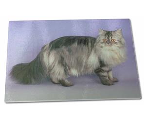 Click to see all products with this Silver Tabby Persian cat.