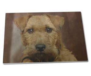 Click image to see all products with this Lakeland Terrier.
