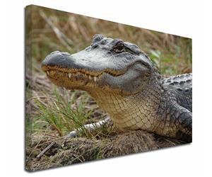Click image to see all Crocodile and Aligator images.