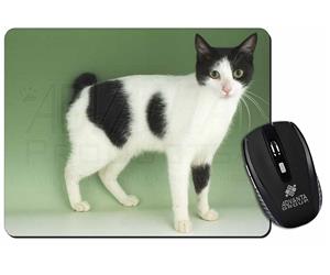 Click to see all products with this Japanese Bobtail cat.