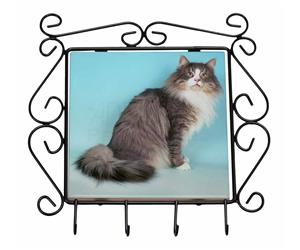 Click to see all products with this Norwegian Forest Cat.