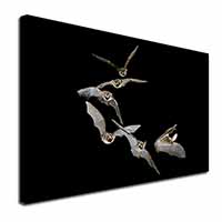 Bats in Flight Canvas X-Large 30"x20" Wall Art Print