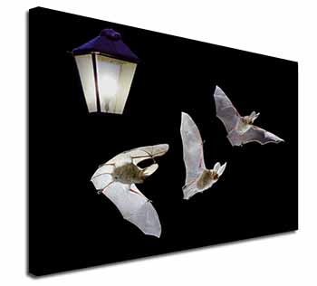 Bats by Lantern Night Light Canvas X-Large 30"x20" Wall Art Print