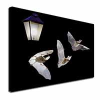 Bats by Lantern Night Light Canvas X-Large 30"x20" Wall Art Print