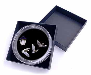Bats by Lantern Night Light Glass Paperweight in Gift Box