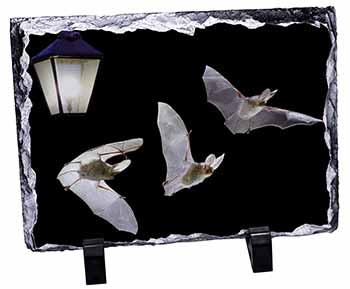Bats by Lantern Night Light, Stunning Photo Slate