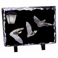 Bats by Lantern Night Light, Stunning Photo Slate