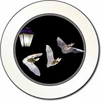 Bats by Lantern Night Light Car or Van Permit Holder/Tax Disc Holder