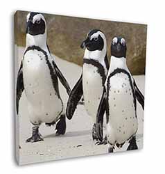 Penguins on Sandy Beach Square Canvas 12"x12" Wall Art Picture Print