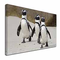 Penguins on Sandy Beach Canvas X-Large 30"x20" Wall Art Print