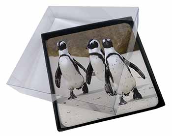 4x Penguins on Sandy Beach Picture Table Coasters Set in Gift Box