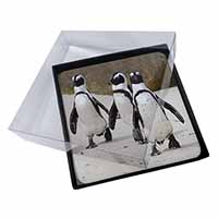 4x Penguins on Sandy Beach Picture Table Coasters Set in Gift Box
