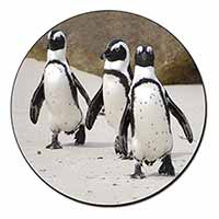 Penguins on Sandy Beach Fridge Magnet Printed Full Colour