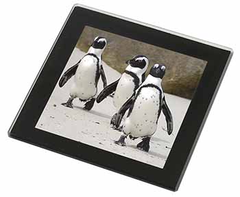 Penguins on Sandy Beach Black Rim High Quality Glass Coaster