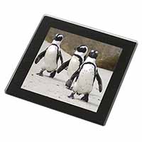 Penguins on Sandy Beach Black Rim High Quality Glass Coaster