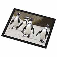 Penguins on Sandy Beach Black Rim High Quality Glass Placemat