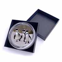 Penguins on Sandy Beach Glass Paperweight in Gift Box