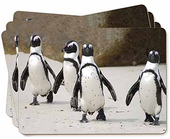 Penguins on Sandy Beach Picture Placemats in Gift Box