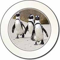 Penguins on Sandy Beach Car or Van Permit Holder/Tax Disc Holder