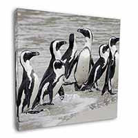 Sea Penguins Square Canvas 12"x12" Wall Art Picture Print