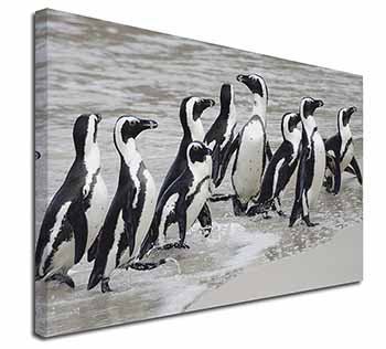 Sea Penguins Canvas X-Large 30"x20" Wall Art Print
