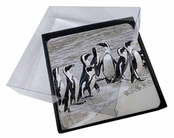 4x Sea Penguins Picture Table Coasters Set in Gift Box