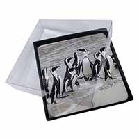 4x Sea Penguins Picture Table Coasters Set in Gift Box