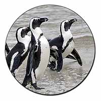 Sea Penguins Fridge Magnet Printed Full Colour
