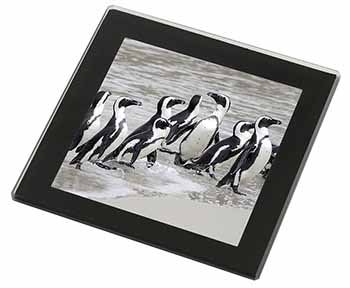 Sea Penguins Black Rim High Quality Glass Coaster