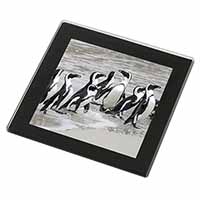 Sea Penguins Black Rim High Quality Glass Coaster