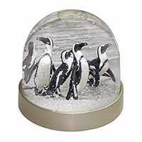 Sea Penguins Snow Globe Photo Waterball