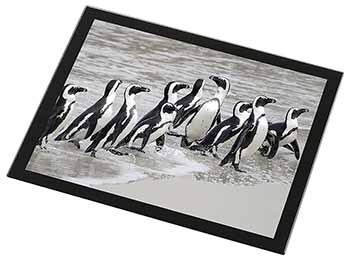 Sea Penguins Black Rim High Quality Glass Placemat
