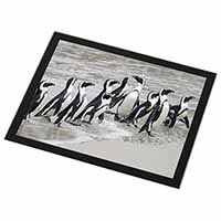 Sea Penguins Black Rim High Quality Glass Placemat