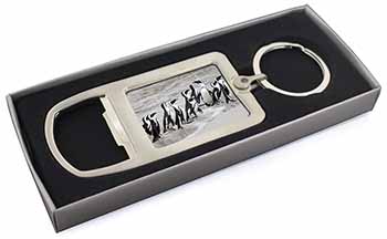 Sea Penguins Chrome Metal Bottle Opener Keyring in Box