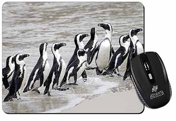 Sea Penguins Computer Mouse Mat